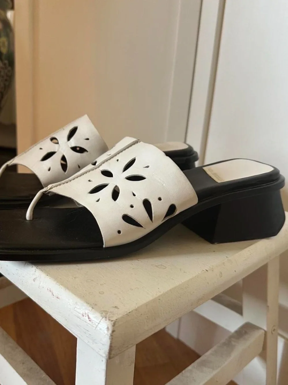 Enzo Angiolini enzo angiolini